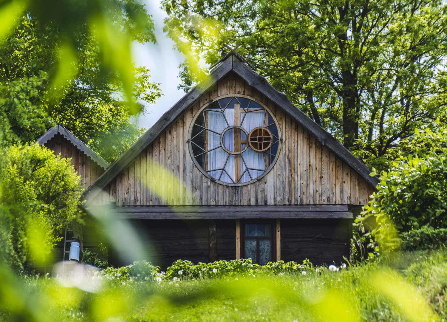 EWAS EWA SZELOCH - Zdjęcie 1