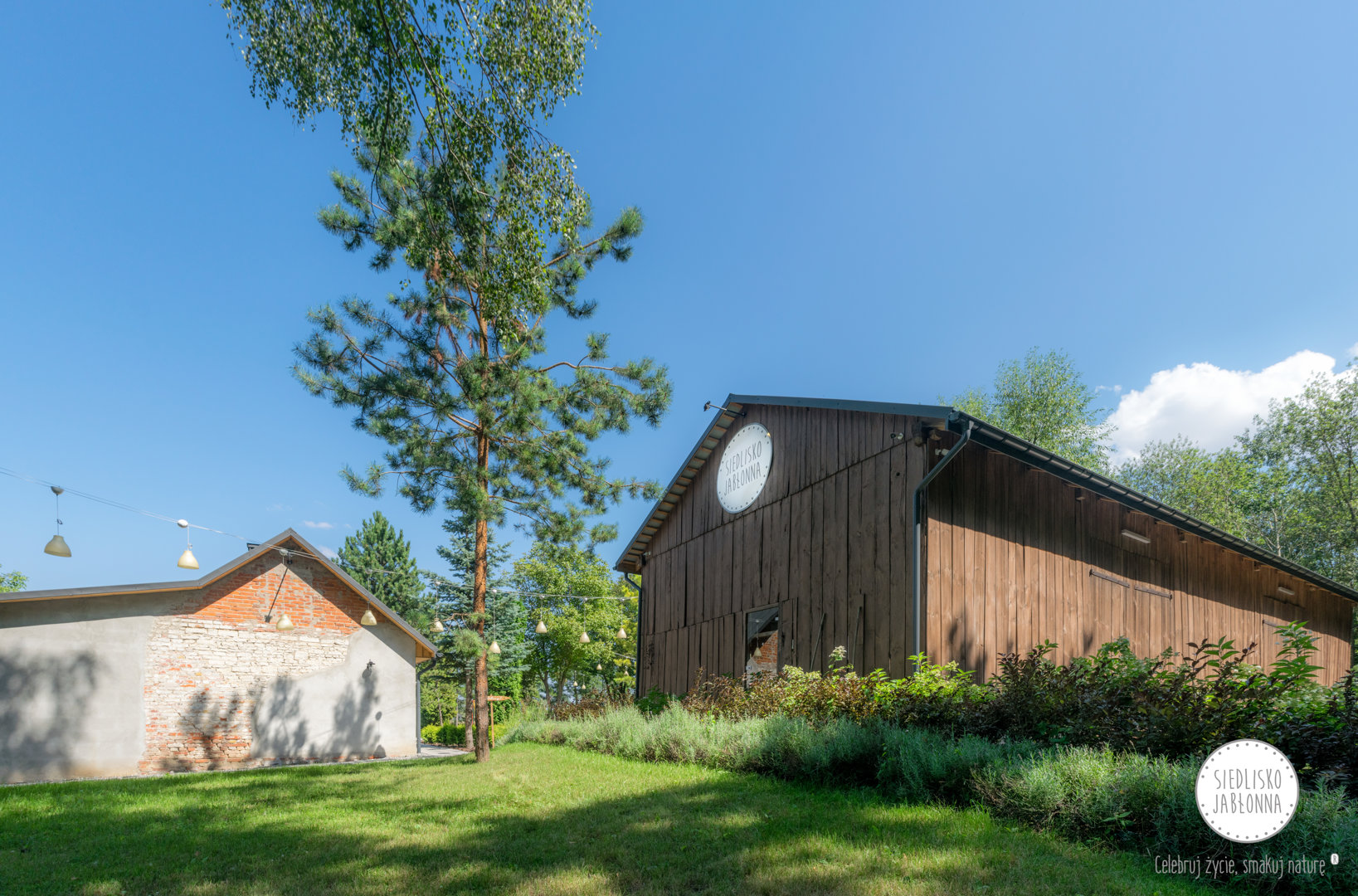 EWAS EWA SZELOCH - Zdjęcie 2