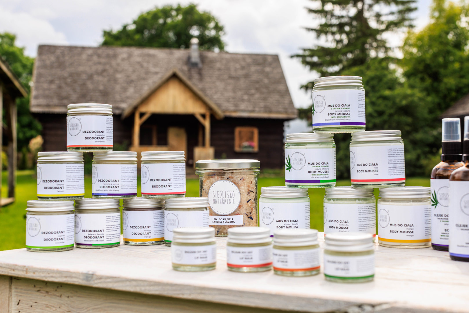 EWAS EWA SZELOCH - Zdjęcie 3