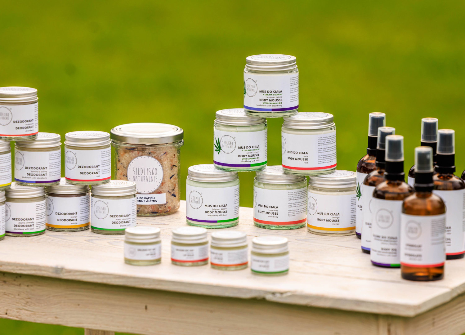 EWAS EWA SZELOCH - Zdjęcie 5